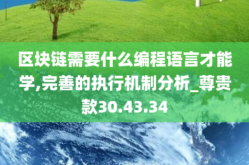 区块链需要什么编程语言才能学,完善的执行机制分析_尊贵款30.43.34