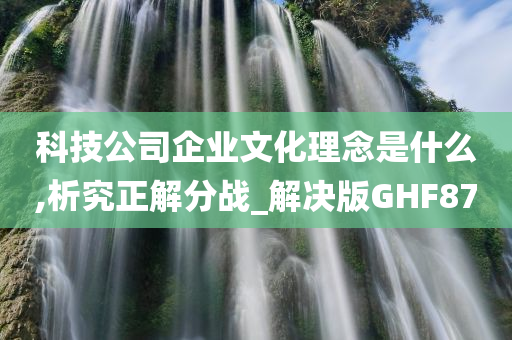 科技公司企业文化理念是什么,析究正解分战_解决版GHF87