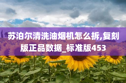 苏泊尔清洗油烟机怎么拆,复刻版正品数据_标准版453