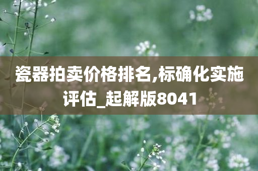 瓷器拍卖价格排名,标确化实施评估_起解版8041