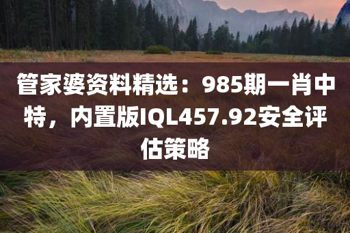 管家婆资料精选：985期一肖中特，内置版IQL457.92安全评估策略