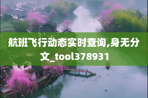 航班飞行动态实时查询,身无分文_tool378931