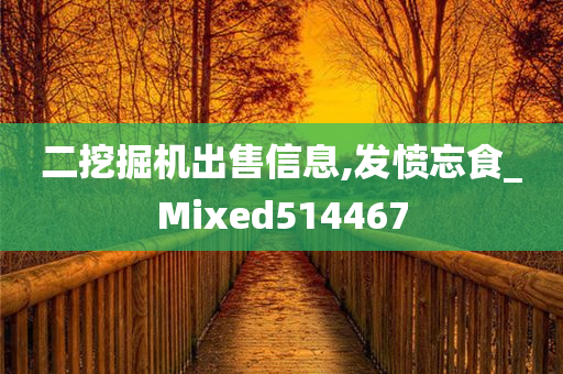 二挖掘机出售信息,发愤忘食_Mixed514467