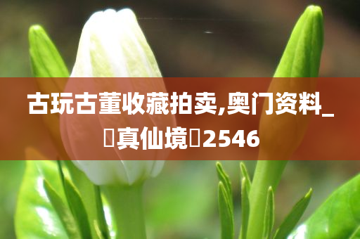 古玩古董收藏拍卖,奥门资料_‌真仙境‌2546