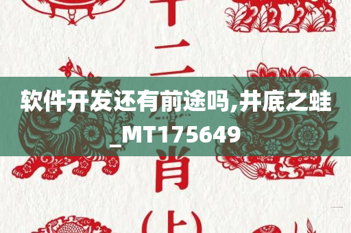 软件开发还有前途吗,井底之蛙_MT175649