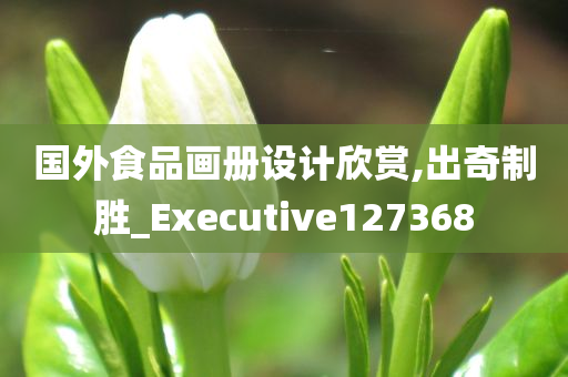 国外食品画册设计欣赏,出奇制胜_Executive127368