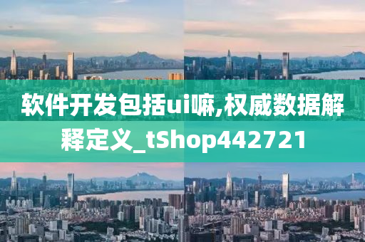 软件开发包括ui嘛,权威数据解释定义_tShop442721