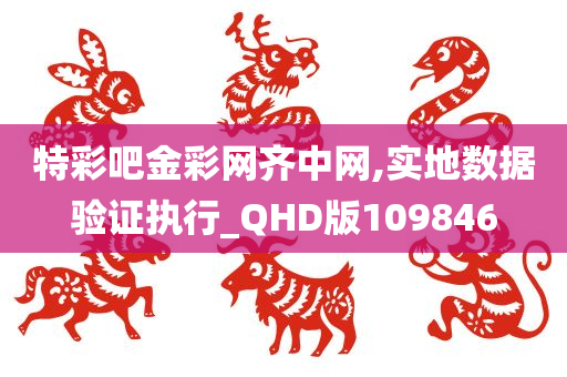 特彩吧金彩网齐中网,实地数据验证执行_QHD版109846