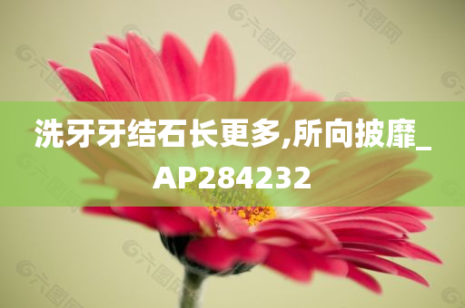 洗牙牙结石长更多,所向披靡_AP284232