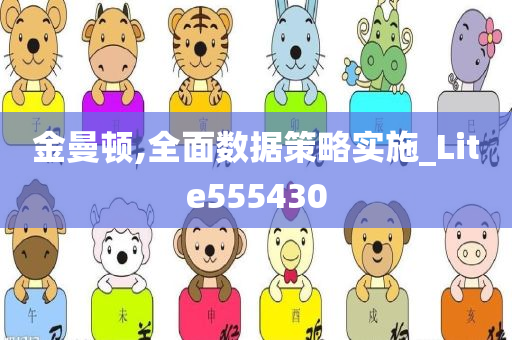 金曼顿,全面数据策略实施_Lite555430