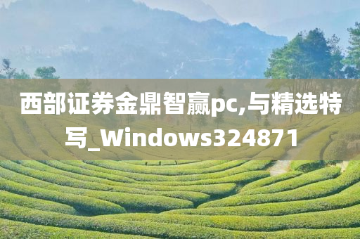 西部证券金鼎智赢pc,与精选特写_Windows324871