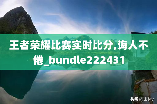 王者荣耀比赛实时比分,诲人不倦_bundle222431