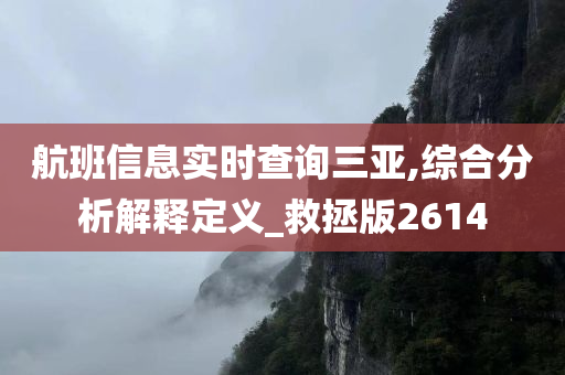 航班信息实时查询三亚,综合分析解释定义_救拯版2614