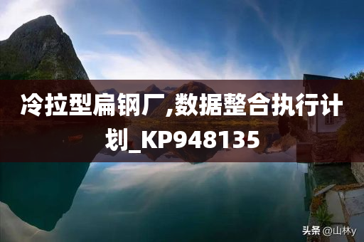 冷拉型扁钢厂,数据整合执行计划_KP948135