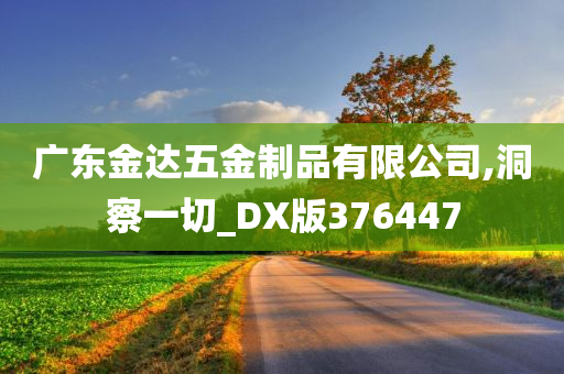 广东金达五金制品有限公司,洞察一切_DX版376447