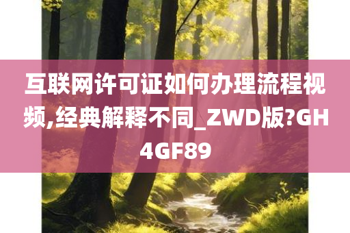 互联网许可证如何办理流程视频,经典解释不同_ZWD版?GH4GF89