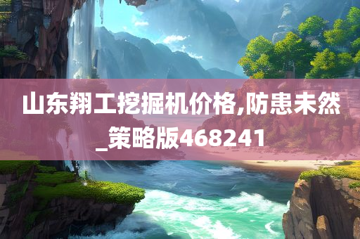 山东翔工挖掘机价格,防患未然_策略版468241