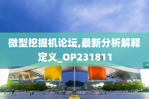 微型挖掘机论坛,最新分析解释定义_OP231811