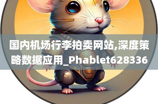 国内机场行李拍卖网站,深度策略数据应用_Phablet628336