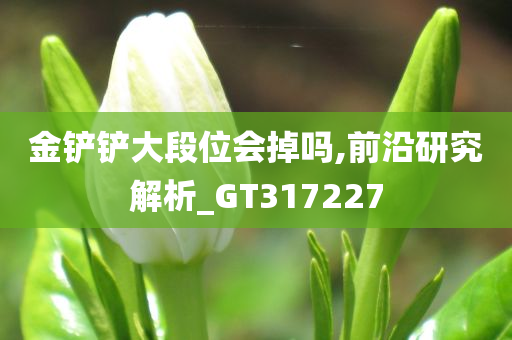 金铲铲大段位会掉吗,前沿研究解析_GT317227