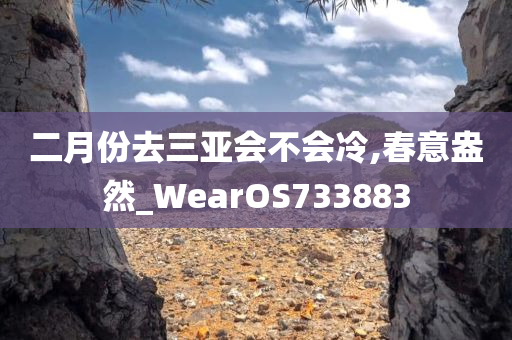 二月份去三亚会不会冷,春意盎然_WearOS733883