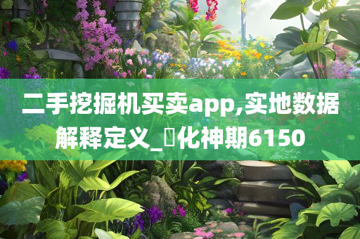 二手挖掘机买卖app,实地数据解释定义_‌化神期6150