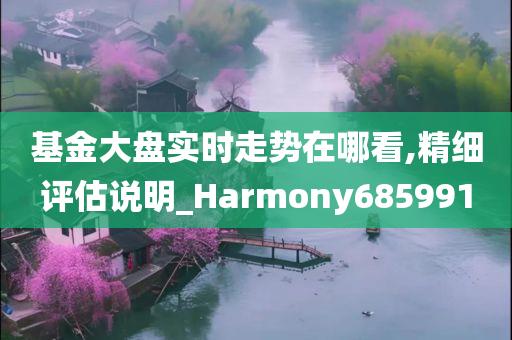 基金大盘实时走势在哪看,精细评估说明_Harmony685991