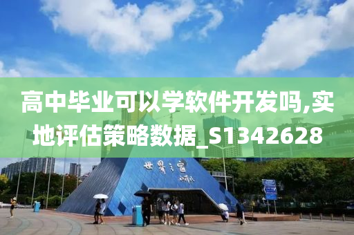 高中毕业可以学软件开发吗,实地评估策略数据_S1342628