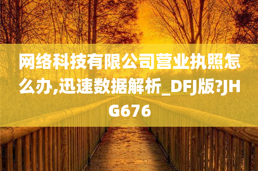 网络科技有限公司营业执照怎么办,迅速数据解析_DFJ版?JHG676