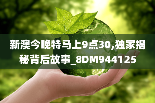 新澳今晚特马上9点30,独家揭秘背后故事_8DM944125