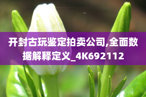 开封古玩鉴定拍卖公司,全面数据解释定义_4K692112