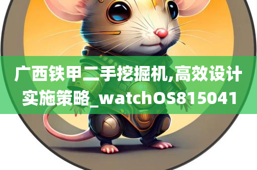 广西铁甲二手挖掘机,高效设计实施策略_watchOS815041