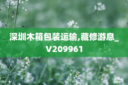 深圳木箱包装运输,藏修游息_V209961