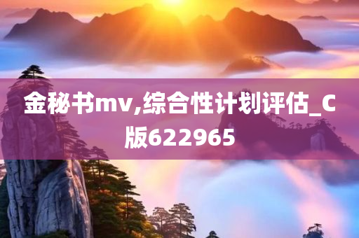 金秘书mv,综合性计划评估_C版622965