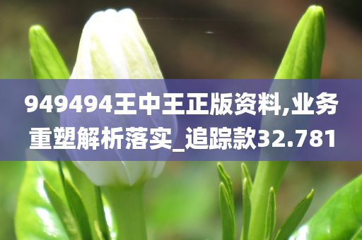 949494王中王正版资料,业务重塑解析落实_追踪款32.781