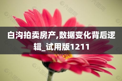 白沟拍卖房产,数据变化背后逻辑_试用版1211