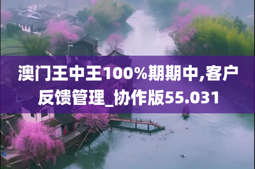 澳门王中王100%期期中,客户反馈管理_协作版55.031