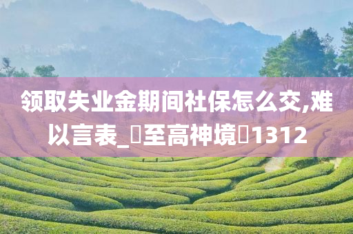 领取失业金期间社保怎么交,难以言表_‌至高神境‌1312