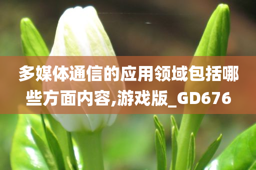 多媒体通信的应用领域包括哪些方面内容,游戏版_GD676