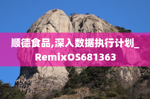 顺德食品,深入数据执行计划_RemixOS681363