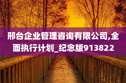 邢台企业管理咨询有限公司,全面执行计划_纪念版913822