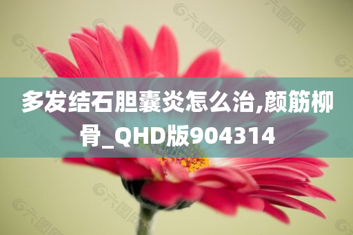 多发结石胆囊炎怎么治,颜筋柳骨_QHD版904314