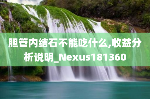 胆管内结石不能吃什么,收益分析说明_Nexus181360