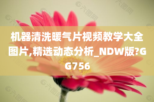 机器清洗暖气片视频教学大全图片,精选动态分析_NDW版?GG756