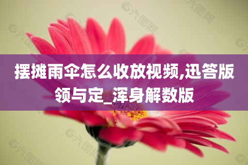 摆摊雨伞怎么收放视频,迅答版领与定_浑身解数版