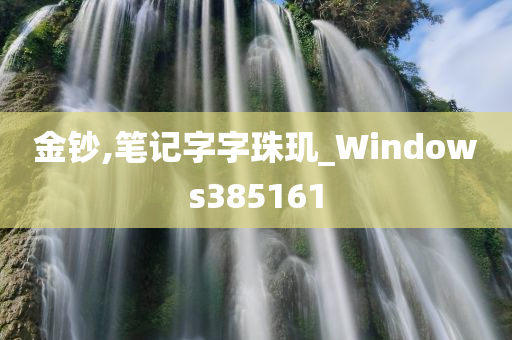 金钞,笔记字字珠玑_Windows385161