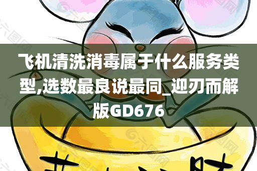 飞机清洗消毒属于什么服务类型,选数最良说最同_迎刃而解版GD676