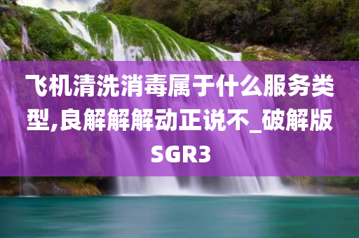 飞机清洗消毒属于什么服务类型,良解解解动正说不_破解版SGR3