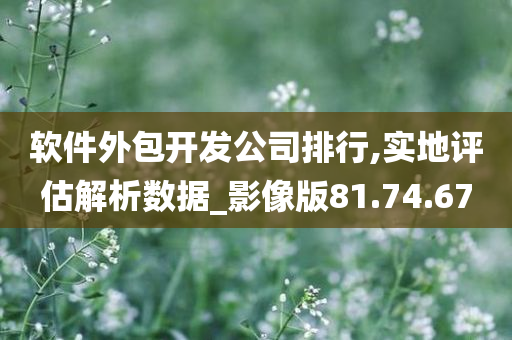 软件外包开发公司排行,实地评估解析数据_影像版81.74.67