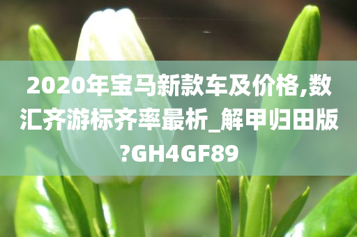 2020年宝马新款车及价格,数汇齐游标齐率最析_解甲归田版?GH4GF89